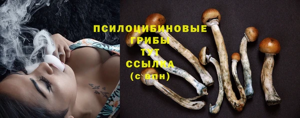 молекула духа Дмитров